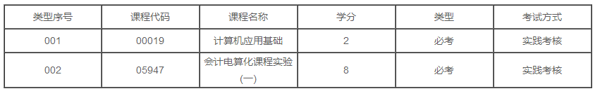 上海2020年自学考试会计（会计电算化）专业专科有几门实践课？