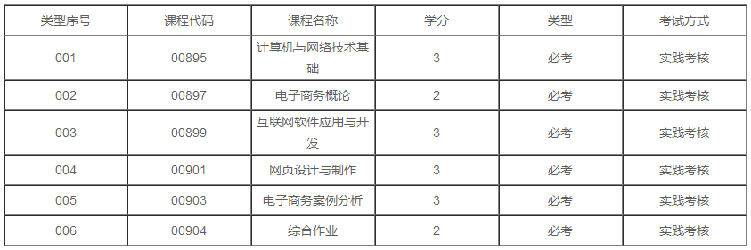 上海2020年自学考试电子商务专业专科有几门实践课？